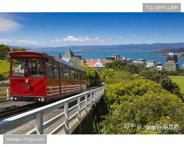 新西兰G组三大优势盘点